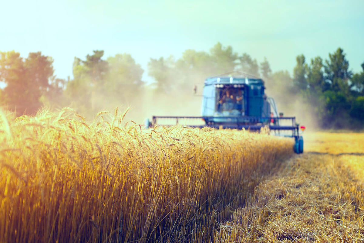 gruntimaps free map server and api agriculture